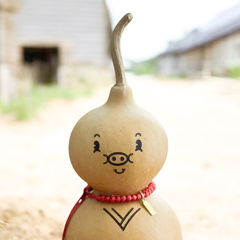 Close up van geluks varkentje Kwan