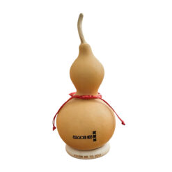 Achterkant van Hooloo Laki