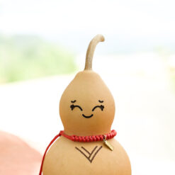 Close up van Hooloo Poppie
