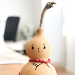 Close up van gelukspoppetje Jun van Hooloo Amsterdam