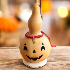 Close up van speciale editie Hoolooween